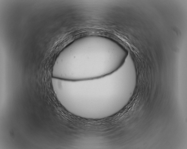 X0000113591447200909181038