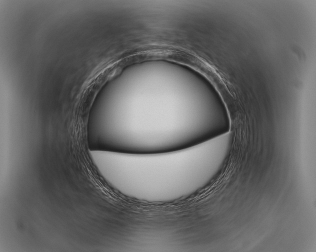 X0000113591448200909181038