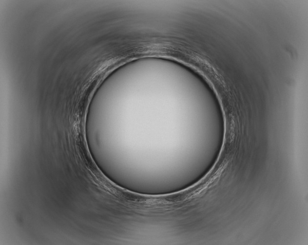 X0000113591449200909181038