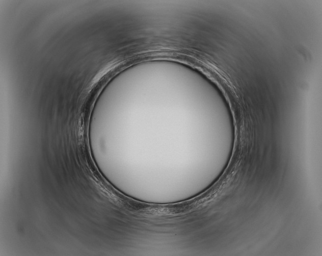 X0000113591450200909181038