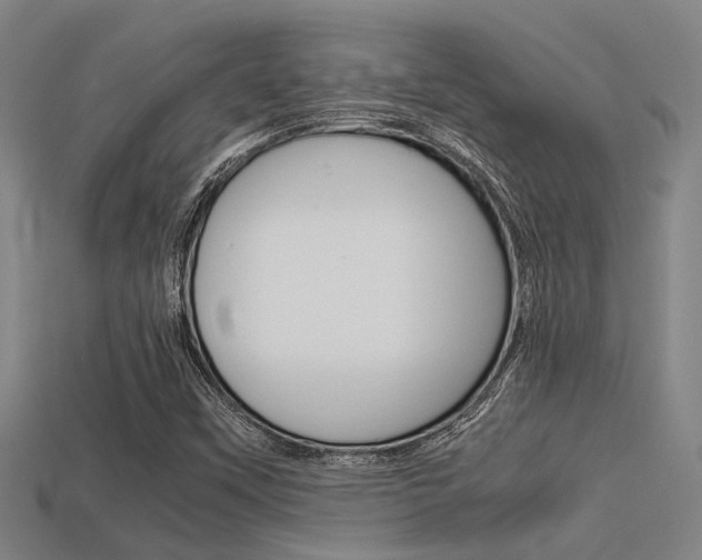 X0000113591451200909181038