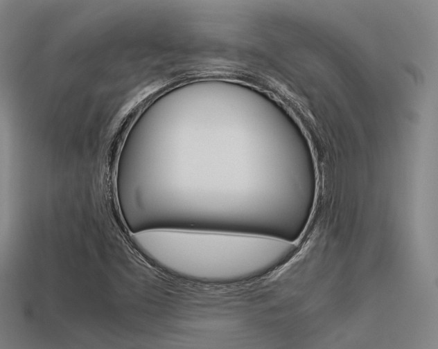 X0000113591453200909181038