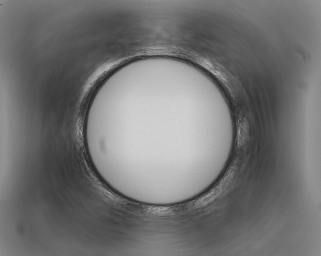 X0000113591454200909181038