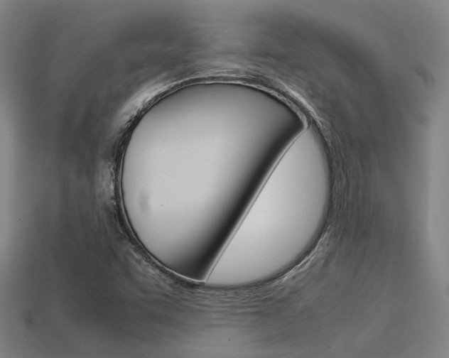 X0000113591455200909181038