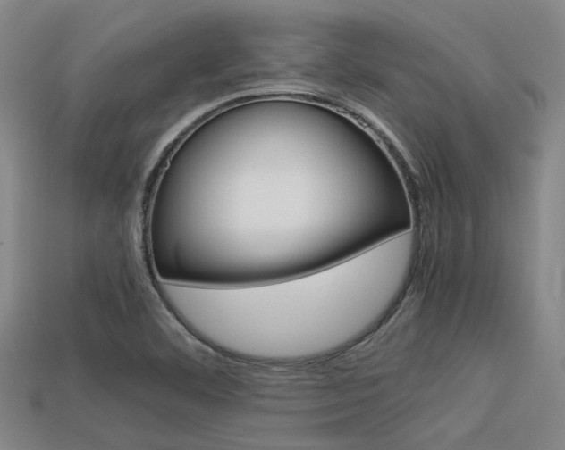 X0000113591460200909181038
