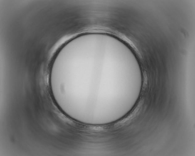 X0000113591462200909181038