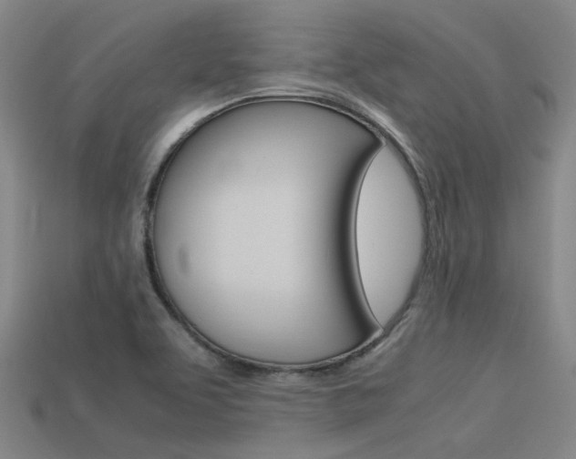 X0000113591463200909181038
