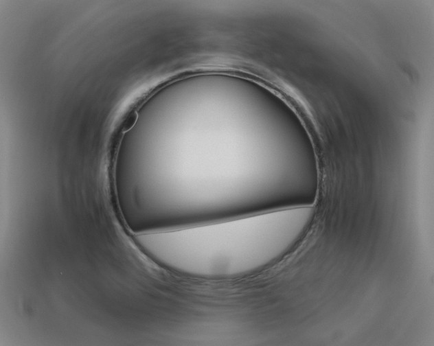 X0000113591464200909181038
