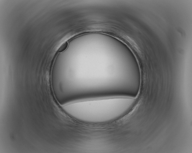 X0000113591465200909181038