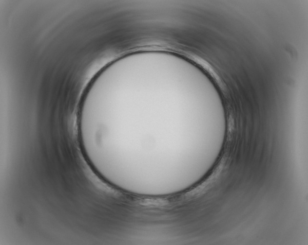 X0000113591466200909181038