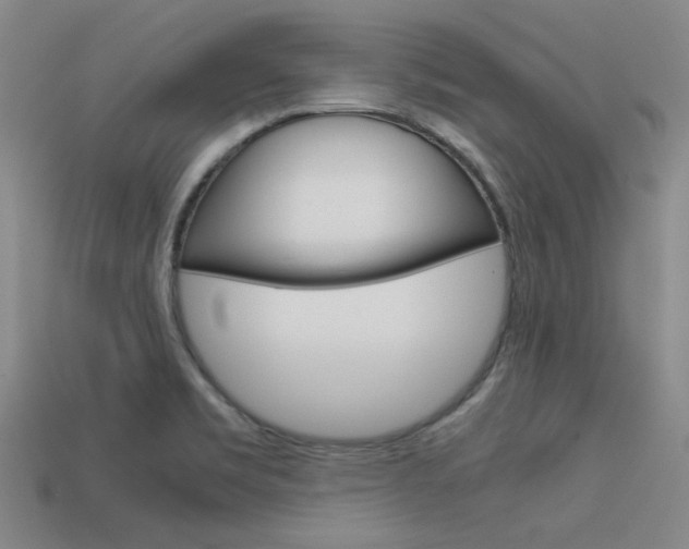 X0000113591469200909181038
