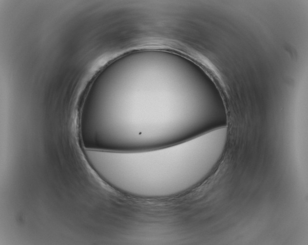 X0000113591472200909181038