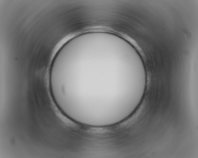 X0000113591474200909181038