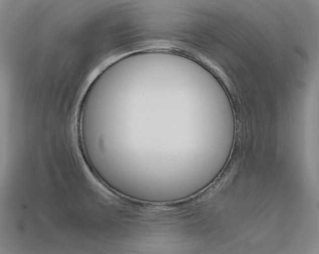 X0000113591475200909181038