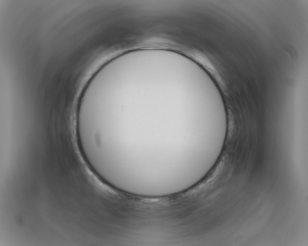 X0000113591478200909181038