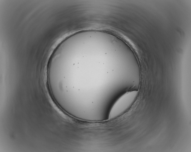 X0000113591479200909181038
