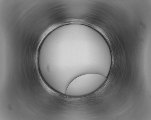 X0000113591482200909181038