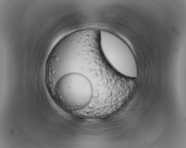X0000113591483200909181038