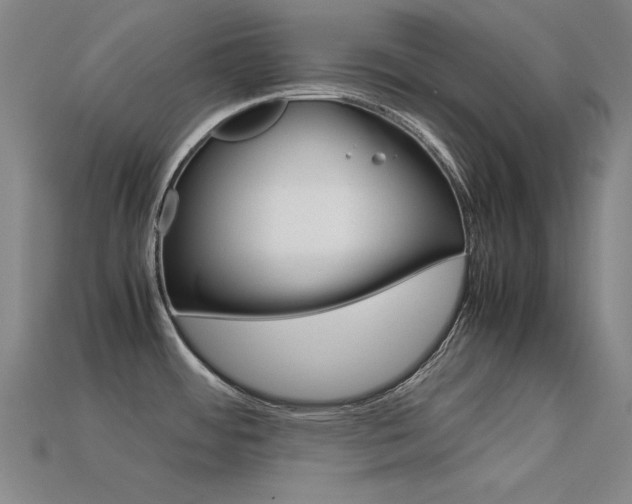 X0000113591484200909181038