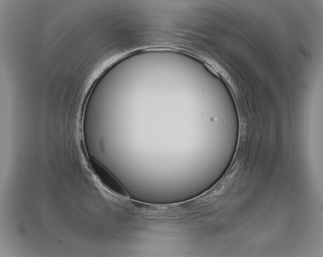 X0000113591485200909181038