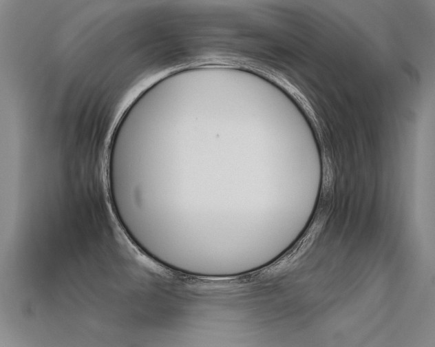 X0000113591486200909181038