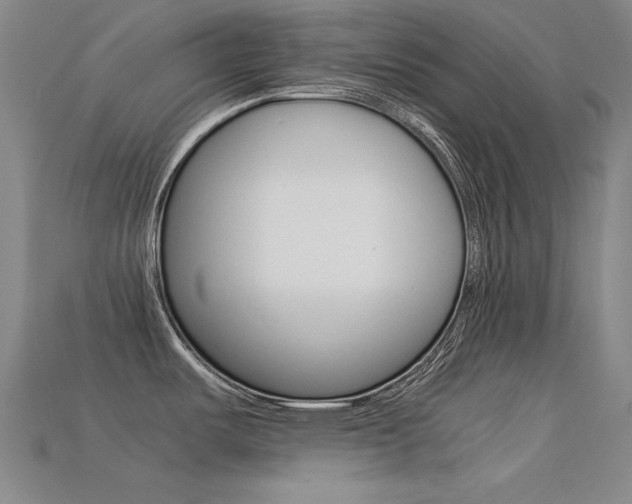 X0000113591487200909181038