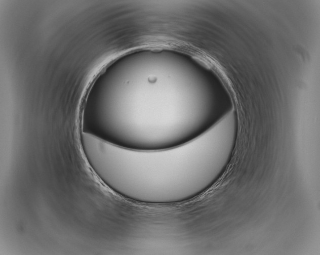 X0000113591488200909181038