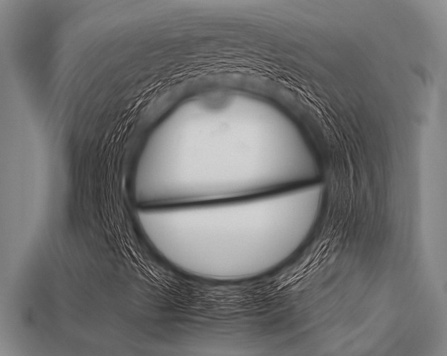 X0000113591489200909181037