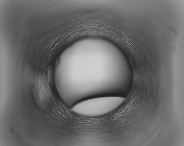 X0000113591490200909181037