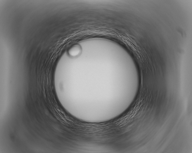 X0000113591492200909181037