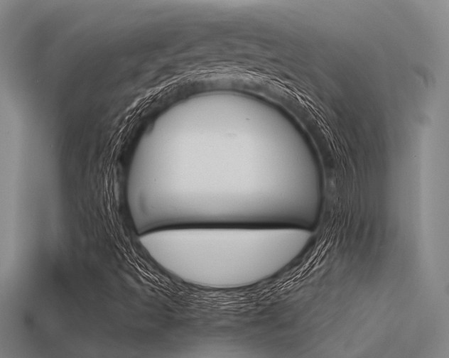 X0000113591493200909181037