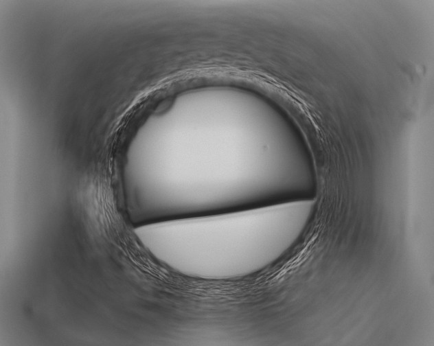 X0000113591494200909181037