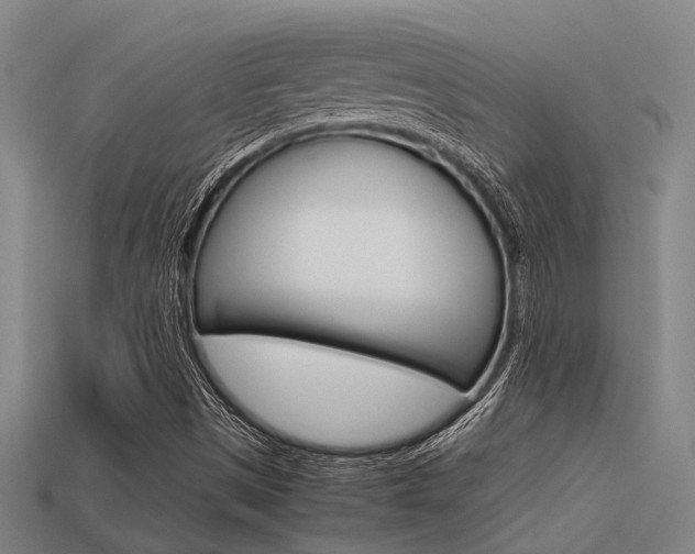 X0000113591497200909181037