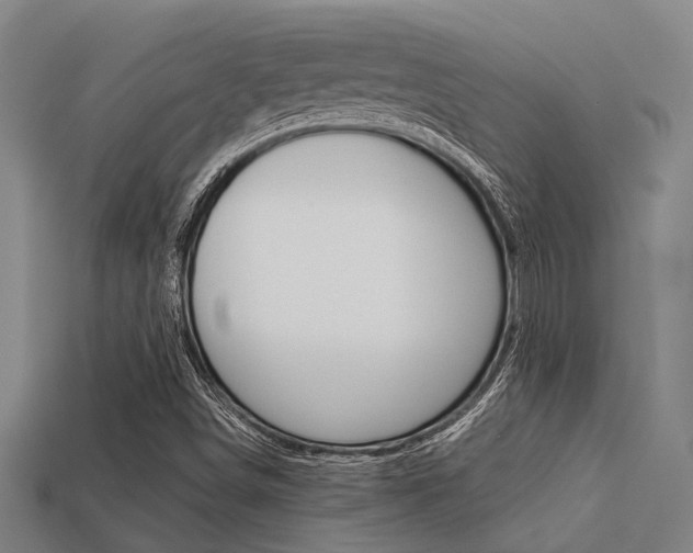 X0000113591498200909181037