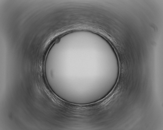 X0000113591499200909181037
