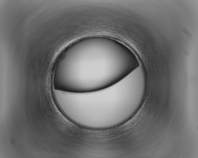 X0000113591500200909181037