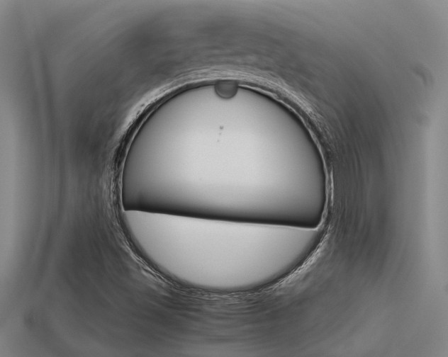 X0000113591501200909181037