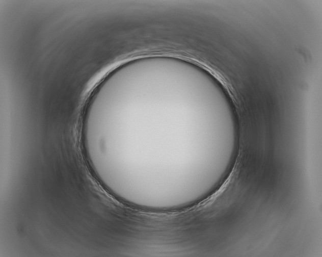 X0000113591502200909181037