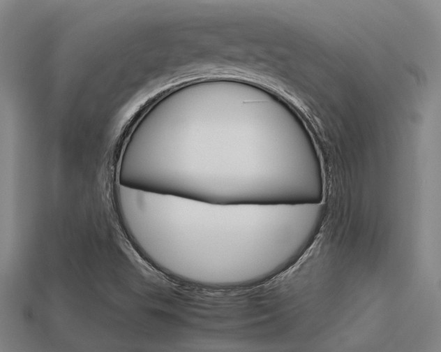 X0000113591503200909181037