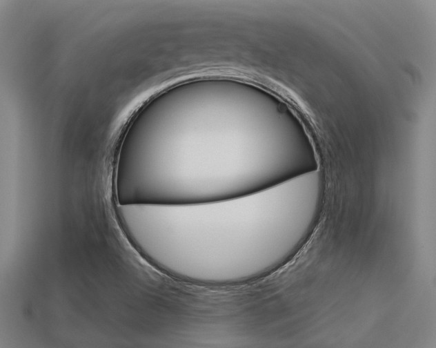 X0000113591504200909181037