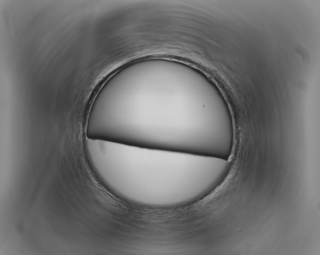 X0000113591505200909181037