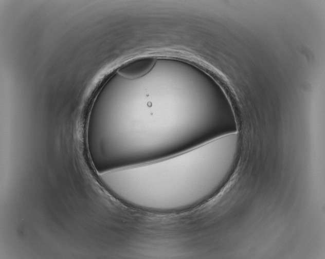 X0000113591506200909181037
