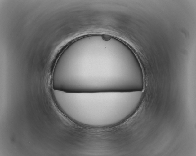 X0000113591507200909181037