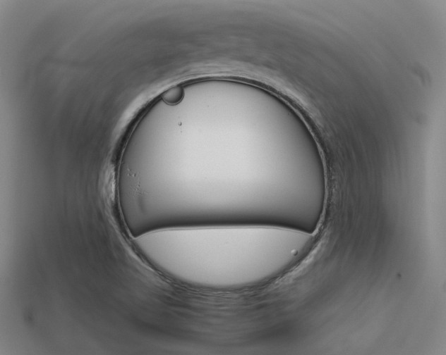 X0000113591509200909181037