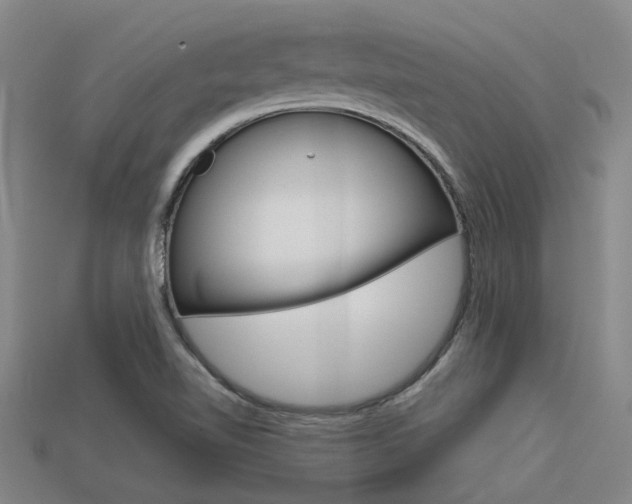 X0000113591510200909181037