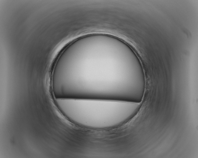 X0000113591511200909181037