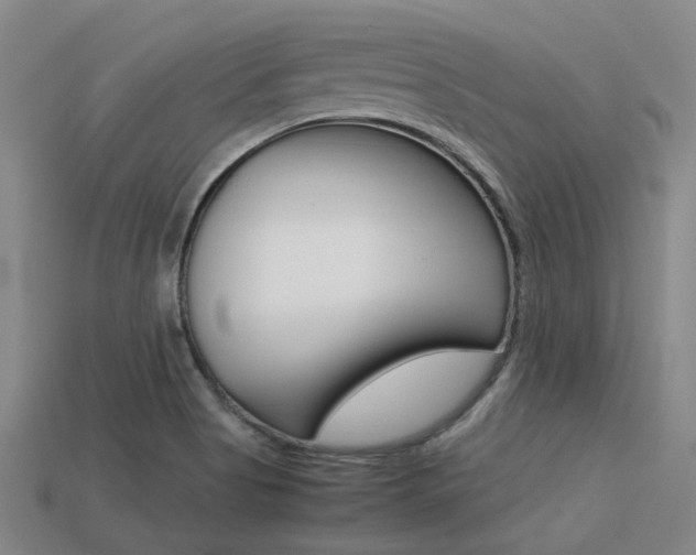 X0000113591513200909181037