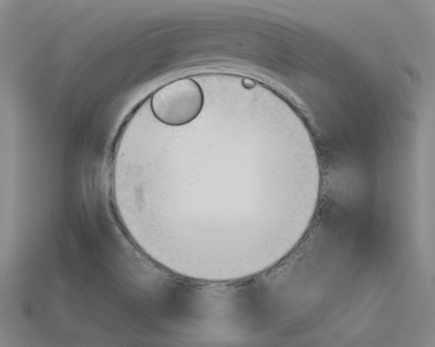 X0000113591514200909181038