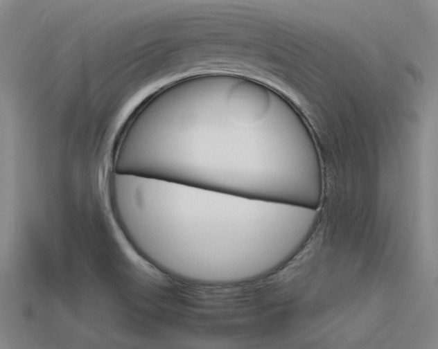 X0000113591515200909181038