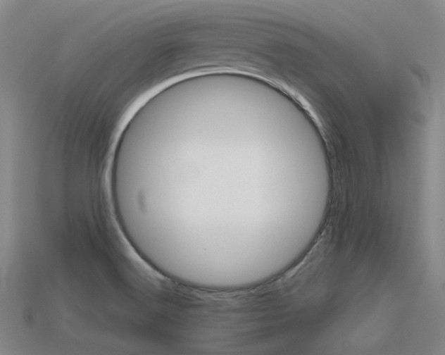 X0000113591516200909181038